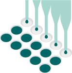 High throughput (HTS)