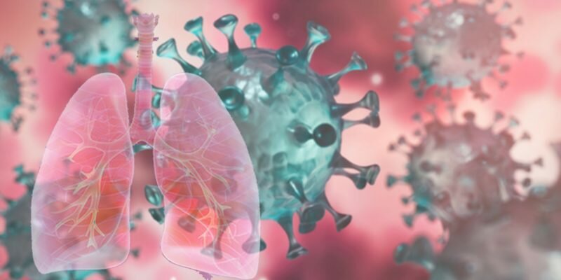 Zpredicta Biology Reconstructed 3d Cell Culture Tissue Microenviroment